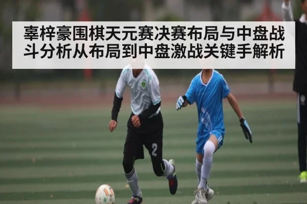 辜梓豪围棋天元赛决赛布局与中盘战斗分析从布局到中盘激战关键手解析